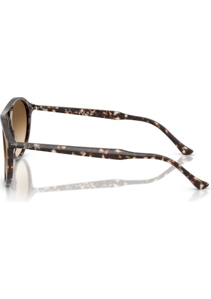 Rb 2215 143151 56 Ray-Ban Unisex Güneş Gözlüğü fiyatları