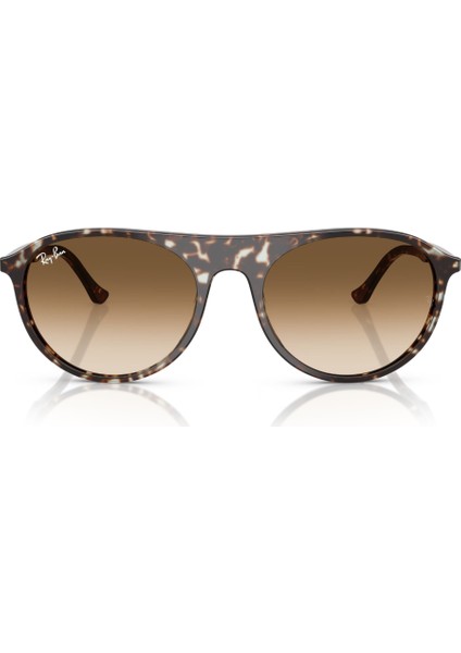 Rb 2215 143151 56 Ray-Ban Unisex Güneş Gözlüğü indirimleri