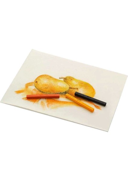 Pastel Boya Polychromos 12 Renk