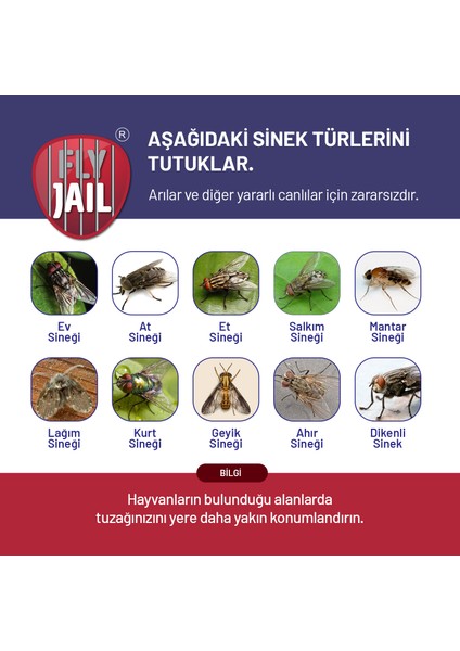 6 Adet Sintut Large | Karasinek Tuzağı
