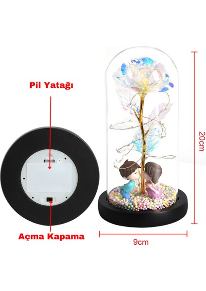 Cam Fanus Içerisinde Sevgili Çift Sevgililer Günü Anneler Günü Hediyesi Sevgiliye Hediye Solmayan Beyaz Gül Gift Hediye modelleri