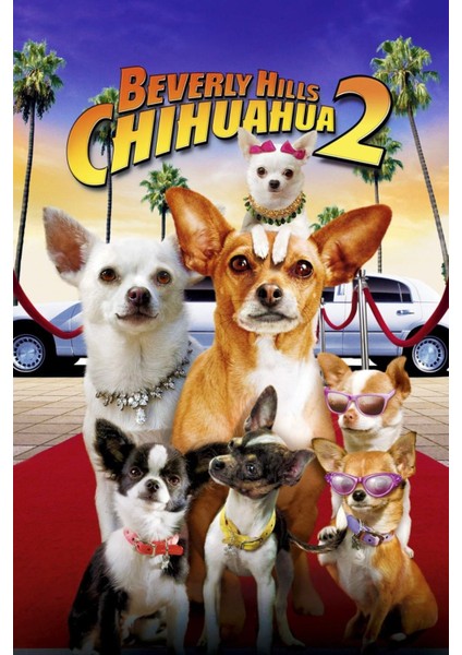 Beverly Hills Chihuahua 2 (2011) ( Folyo ) - Afiş - POSTER-1745 ( 50 cm x 70 cm )