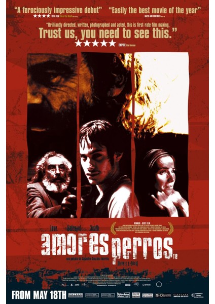 Amores Perros (2000) ( Folyo ) - Afiş - POSTER-1310 ( 50 cm x 70 cm )