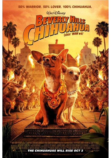 Beverly Hills Chihuahua (2008) ( Folyo ) - Afiş - POSTER-1743 ( 70 cm x 100 cm )