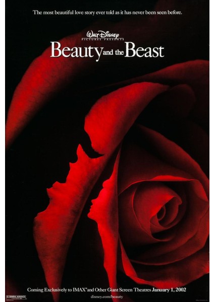 Beauty And The Beast (1991) 5 ( Folyo ) - Afiş - POSTER-1709 ( 70 cm x 100 cm )