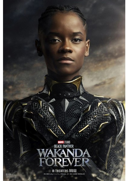 Black Panther Wakanda Forever (2022) 8 ( Folyo ) - Afiş - POSTER-1802 ( 70 cm x 100 cm )