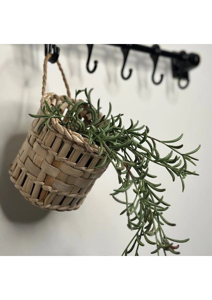 Dekoratif Çok Amaçlı Doğal El Yapımı Hasır Saksı Sepet / 10X10CM