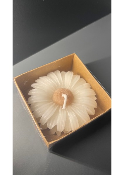 Papatya Şeklinde Mum