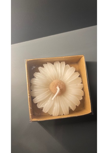 Papatya Şeklinde Mum fiyatları