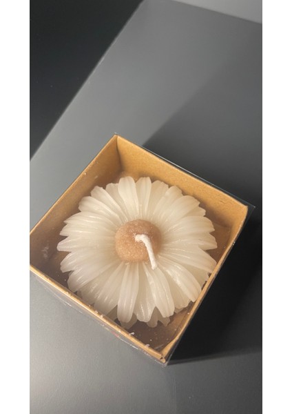 Papatya Şeklinde Mum modelleri