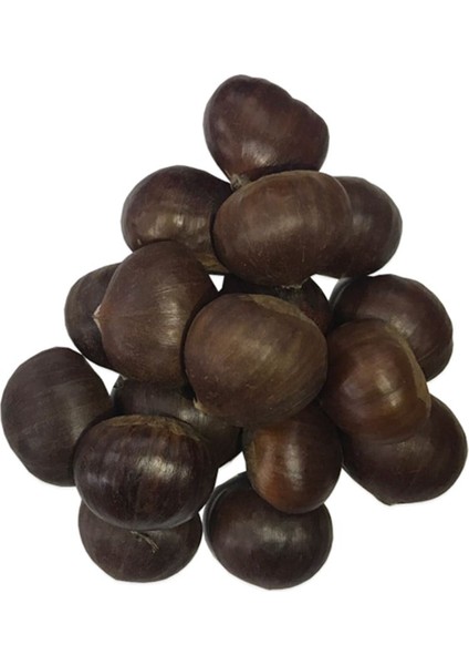 Kestane 500 gr