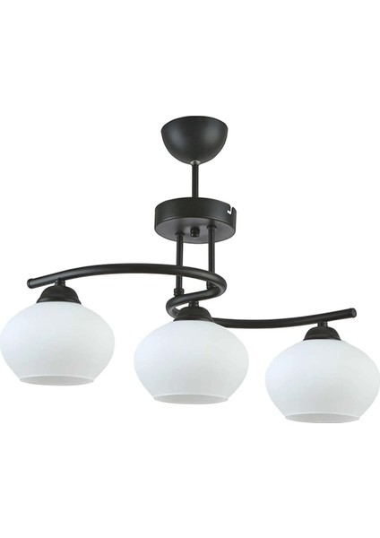 Fuji Modern Dekoratif Salon - Mutfak - Yatak Odası Siyah Renk Camlı 3 Lü Avize