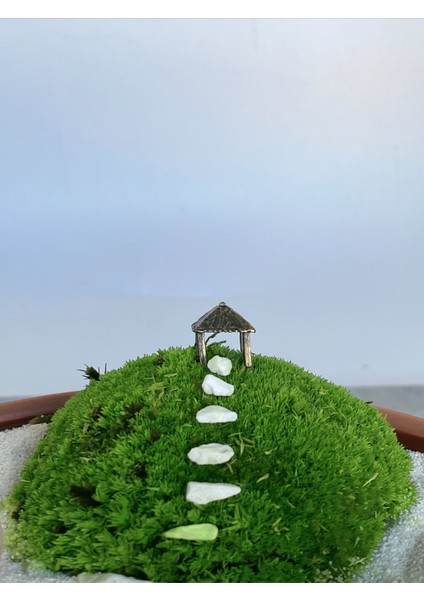 Sessiz Zirve – Zen Bahçesi Dekoratif Meditasyon Seti - Zen Kiti fırsatları