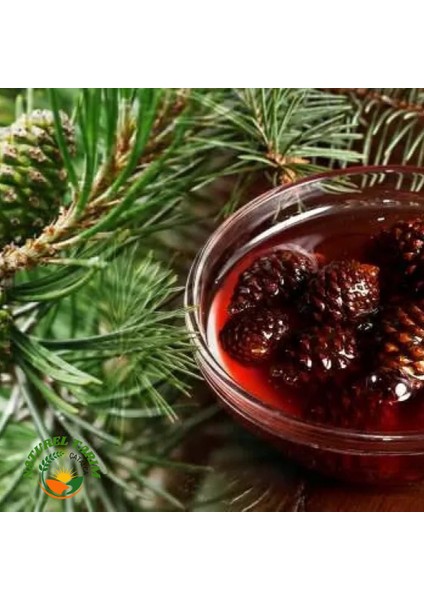Kozalak Pekmezi ( Şeker İlavesiz ) fırsatları