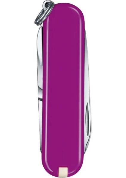Classic Tasty Grape Mor Çakı - Victorinox - 0.6223.52G modelleri