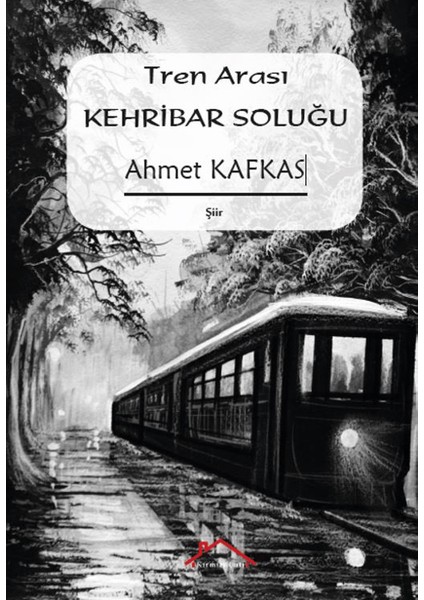 Tren Arası Kehribar Soluğu - Ahmet Kafkas