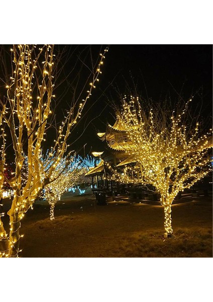 Bahçe Keyfi İçin 10 mt Siyah Kablolu 100LED Dekoratif Şerit Işıklandırma