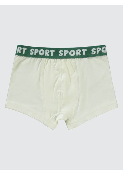 Erkek Çocuk 3'lü Boxer Set 2-10 Yaş Yeşil fırsatları