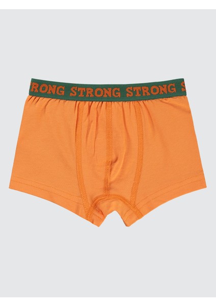 Erkek Çocuk 3'lü Boxer Set 2-10 Yaş Yeşil fiyatları