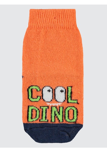 Erkek Bebek 3'lü Çorap Set 6-18 Ay Yeşil modelleri