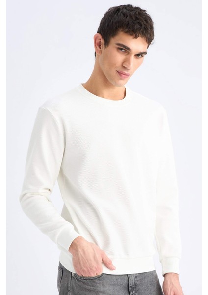 Regular Fit Bisiklet Yaka Dokulu Jakarlı Sweatshirt