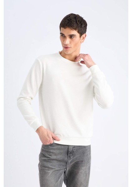 Regular Fit Bisiklet Yaka Dokulu Jakarlı Sweatshirt modelleri