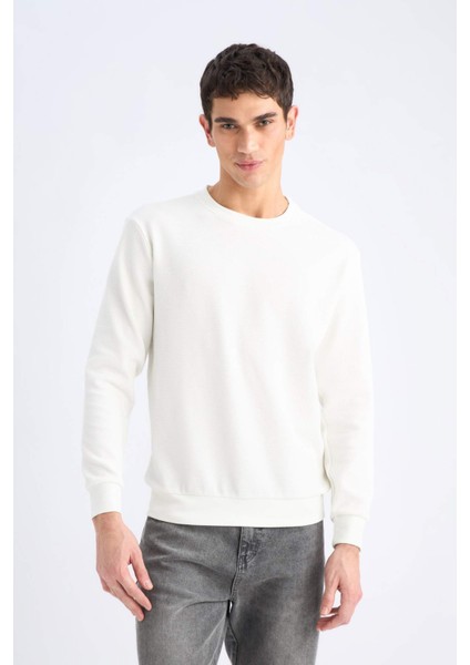 Regular Fit Bisiklet Yaka Dokulu Jakarlı Sweatshirt fırsatları