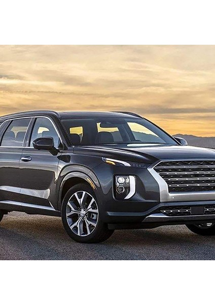 Kapı Yan Ayna Kapağı Trim Dikiz Kapağı Kaplama Kalıplama Garnitür 2019 Araba Aksesuarları ile Uyumlu (Yurt Dışından) modelleri