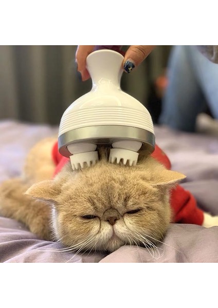 Ikrıstın Ik-T1 USB Pet Kafası Masajı Beyaz (Yurt Dışından) fiyatları