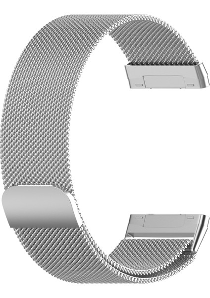 Fitbit Versa 3 / Fitbit Sense Manyetik Milano Saat Kordonu Için, Boyut: Büyük Boy Gümüş (Yurt Dışından)