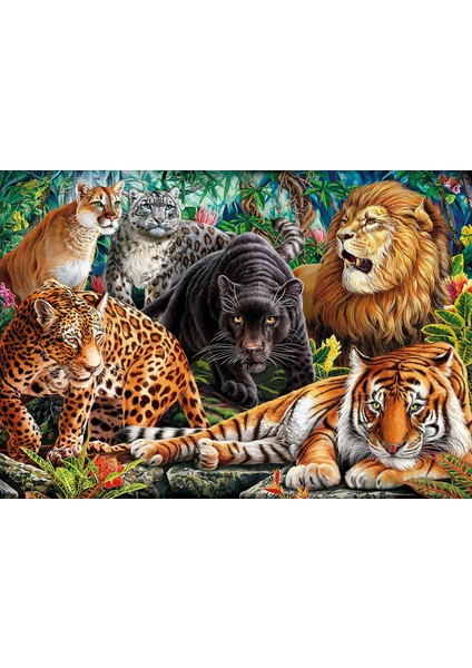 500 Parça Wild Cats Puzzle