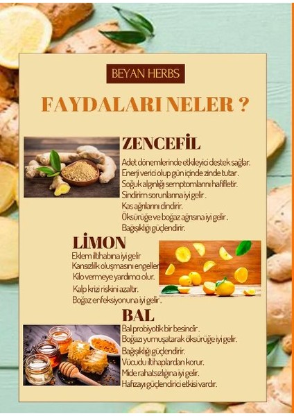 Ginger Shot Doğal Bitkisel Zencefil Suyu + Limon + Bal (CAM ŞİŞE) 6 Adet