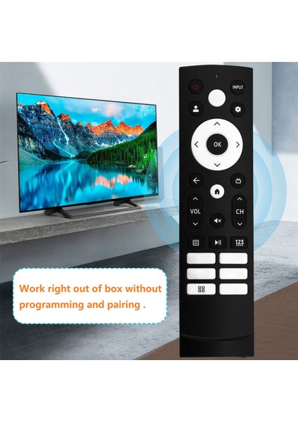 ERF3S90H Hisense Akıllı Tv 50A6H 50A65H 43A6H 43A65H Için Uzaktan Kumandayı Değiştirin (Yurt Dışından) indirimleri