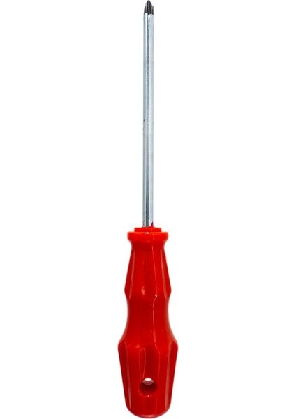505727 Yıldız Uçlu Tornavida 6X100 mm