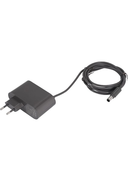 Güç Adaptörü Şarj Cihazı DC30 DC31 DC34 DC35 DC44 DC45 DC56 DC57 Elektrikli Süpürge Robot Parçaları Aksesuarları-Ab Fişi (Yurt Dışından)