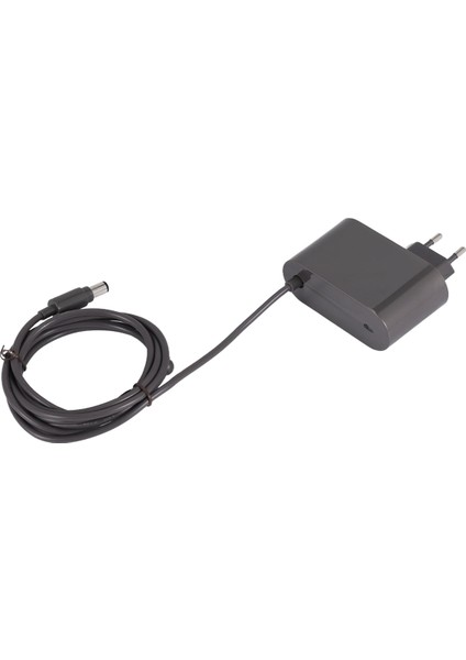 Güç Adaptörü Şarj Cihazı DC30 DC31 DC34 DC35 DC44 DC45 DC56 DC57 Elektrikli Süpürge Robot Parçaları Aksesuarları-Ab Fişi (Yurt Dışından) modelleri