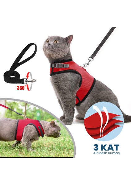 Kedi Gezdirme Boyun Tasması