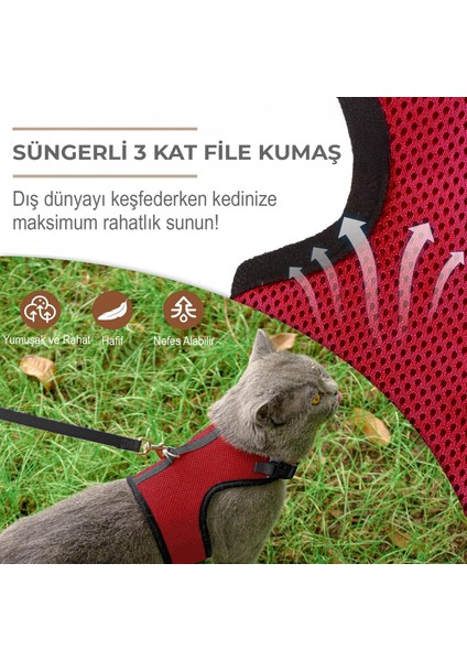 Kedi Gezdirme Boyun Tasması