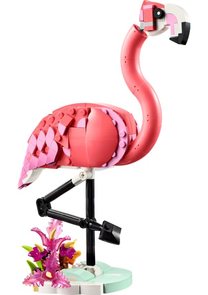 ® Creator 3’ü 1 Arada Vahşi Hayvanlar: Pembe Flamingo 31170 - 8 Yaş & Üzeri Çocuklar için Oyuncak Yapım Seti (288 Parça)