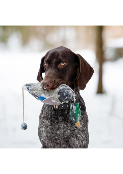 Yavru Köpekleri Eğitmek Için Küçük Hindi Tampon Oyuncağı (Yurt Dışından) fırsatları