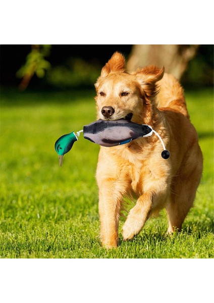 Yavru Köpekleri Eğitmek Için Ördek Kukla Tamponu Taklitçileri (Yurt Dışından)