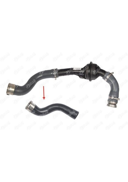 Turbo Hortumları Dacıa Dokker 1.5 Dci 12