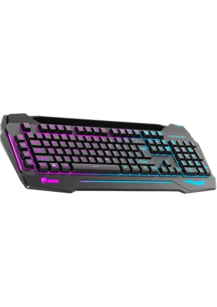 Klavye GK702-RGB Black Kablolu Multımedya Q Tr
