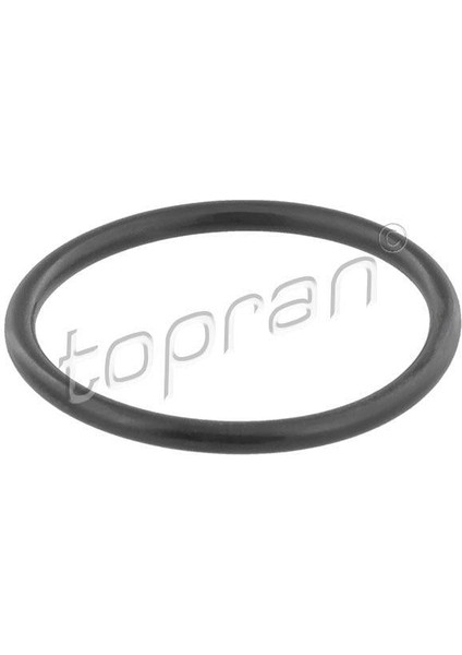 545 Oring Conta Caddy I-Iı-Golf I-Iı-Iıı-Iv-Jetta I-Iı-Passat-Polo-Transporter T4-A3-A4-A6- Cordoba