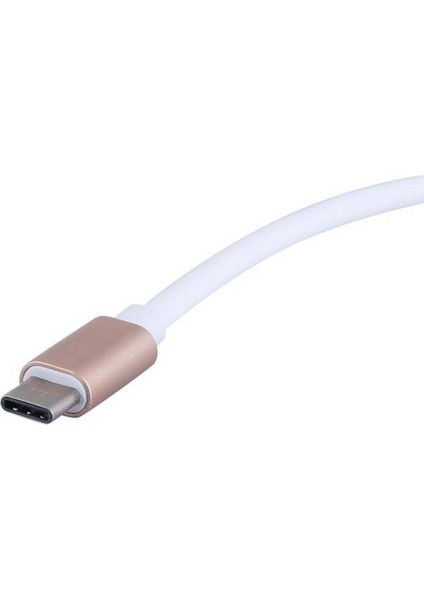 4448 USB 3.1 Type C To Displayport Çevirici Dönüştürücü Adaptör modelleri