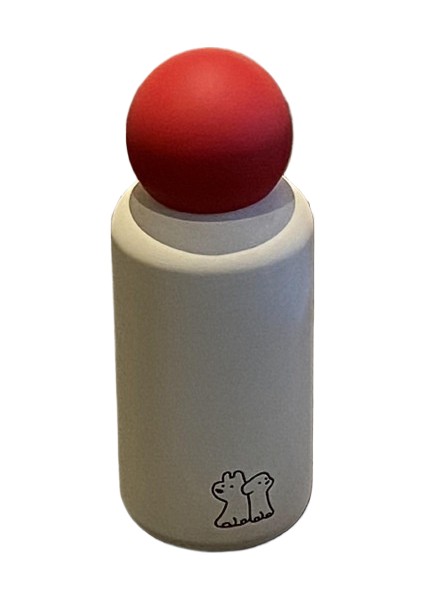 Taşınabilir Paslanmaz Çelik Termos Dak 350ML (Yurt Dışından)