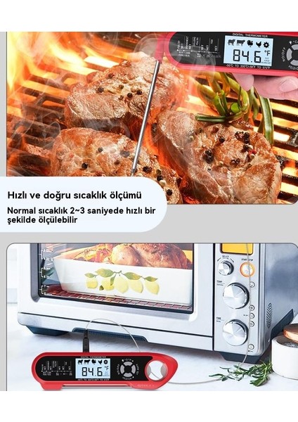 Katlanır Çift Problu Izgara Termometresi (Yurt Dışından) fırsatları