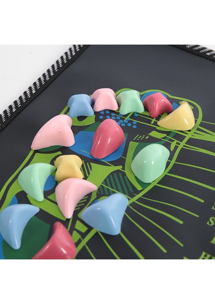 Ev Çakıl Ayak Masaj Minderi (Yurt Dışından) fırsatları