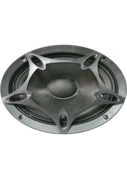 Bm 69 Oval Midrange 150W Rms 900W Maksimum Kapaklı