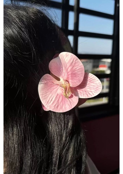 Pembe Renk Aloha Orkide Mandal Toka